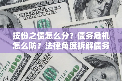 武汉按份之债怎么分？债务危机怎么防？法律角度拆解债务分配与风险自保指南