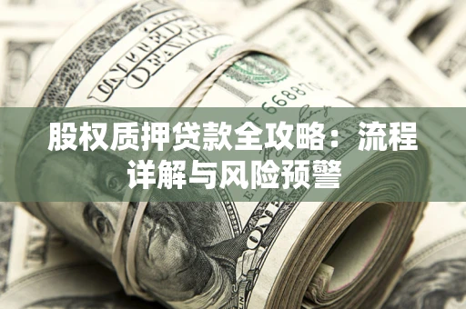 武汉股权质押贷款全攻略：流程详解与风险预警