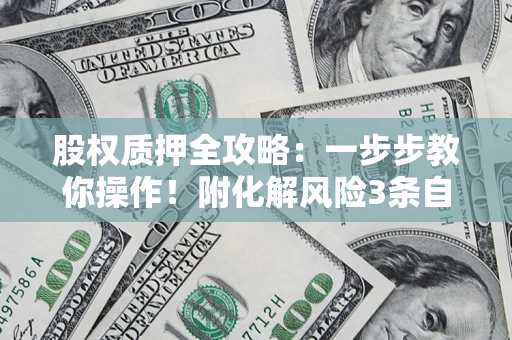 武汉股权质押全攻略：一步步教你操作！附化解风险3条自救法则