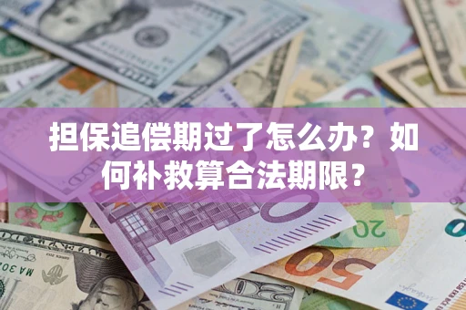 武汉担保追偿期过了怎么办？如何补救算合法期限？