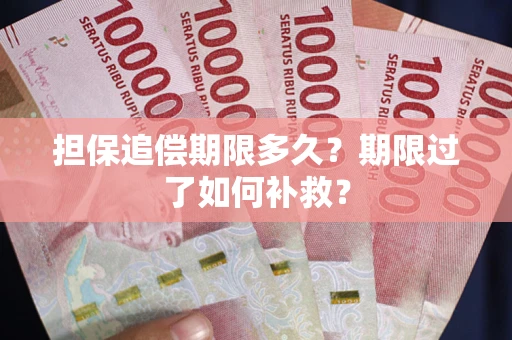 武汉担保追偿期限多久？期限过了如何补救？