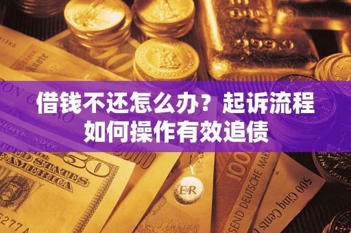 武汉借钱不还怎么办？起诉流程如何操作有效追债