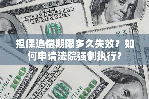 武汉担保追偿期限多久失效？如何申请法院强制执行？