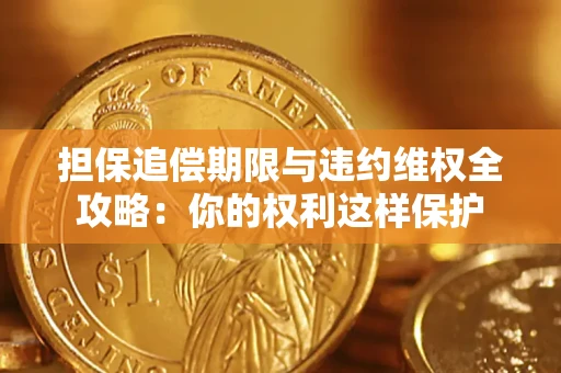 武汉担保追偿期限与违约维权全攻略：你的权利这样保护
