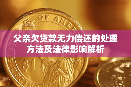 武汉父亲欠贷款无力偿还的处理方法及法律影响解析
