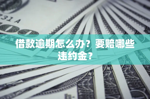 武汉借款逾期怎么办？要赔哪些违约金？